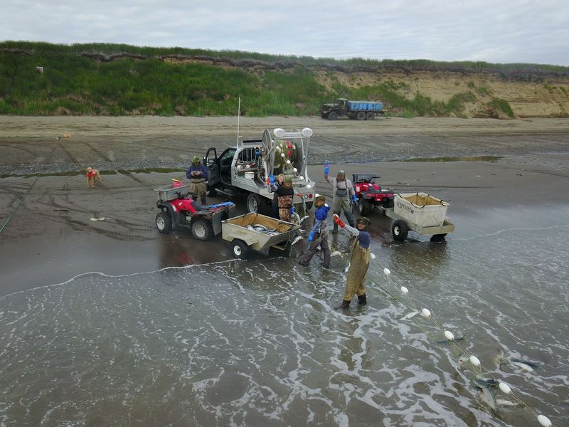 A typical pickup